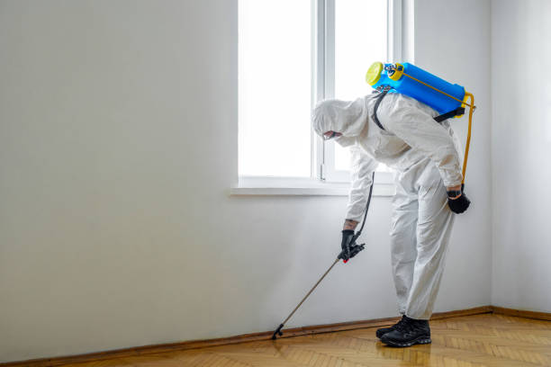 Best Flea Control Services  in Moore Haven, FL
