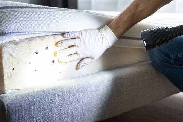 Best Commercial Pest Control Services  in Moore Haven, FL
