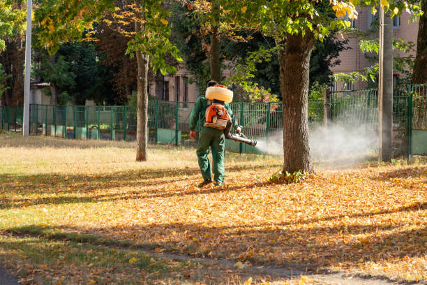 Best Pest Control Near Me in Moore Haven, FL