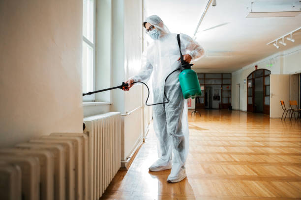 Best Wasp Removal Services  in Moore Haven, FL