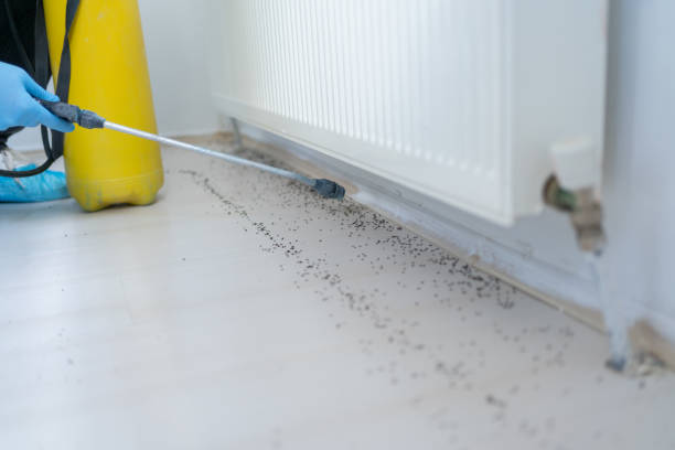 Best Pest Control for Homes  in Moore Haven, FL